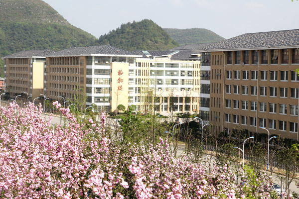 佛山工程瓷砖厂家,工程砖效果图,旅馆瓷砖,工程瓷砖定制效果 第2页_护眼防滑砖